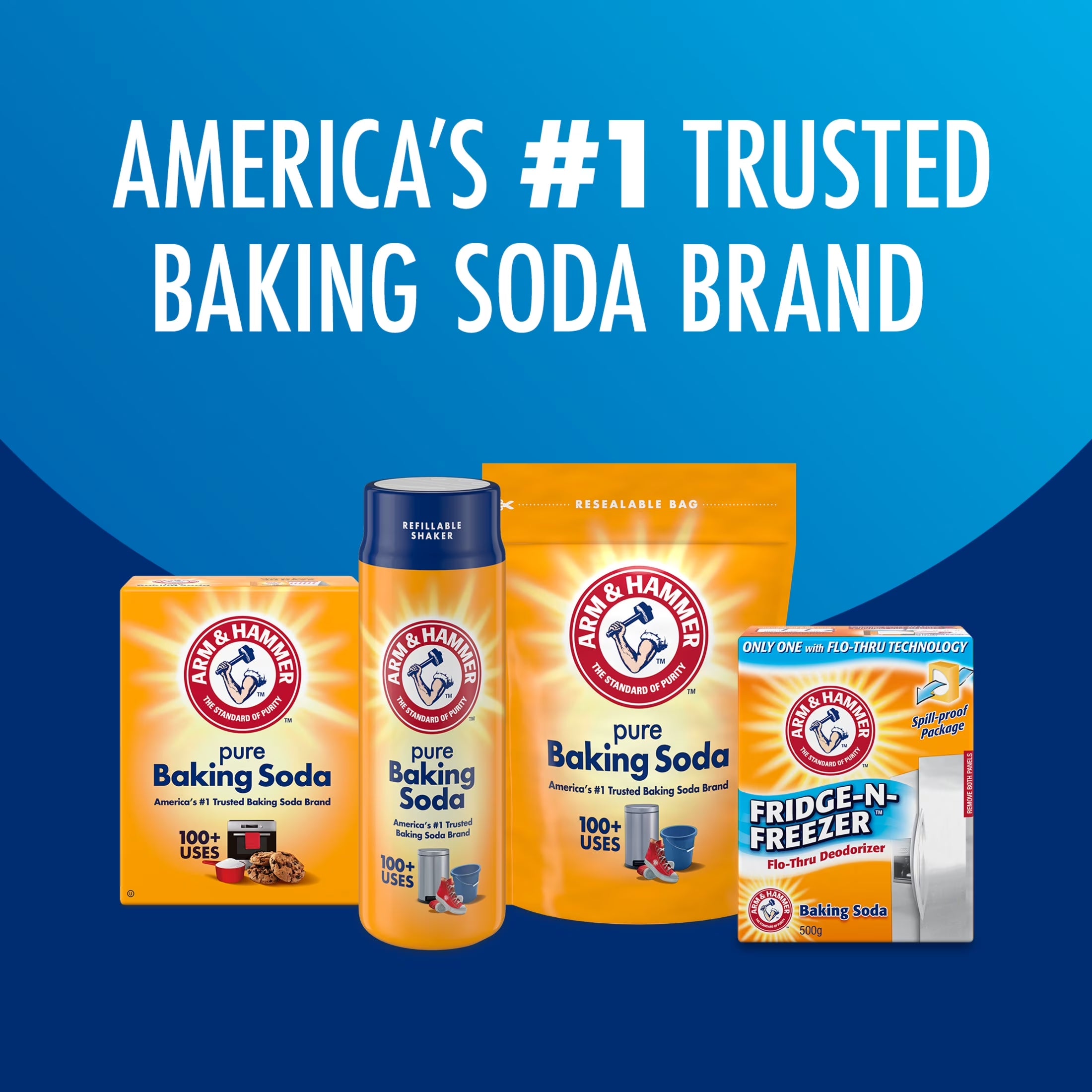 Pure Baking Soda, for Baking, Cleaning & Deodorizing, Pool 10.8 Lb Bag