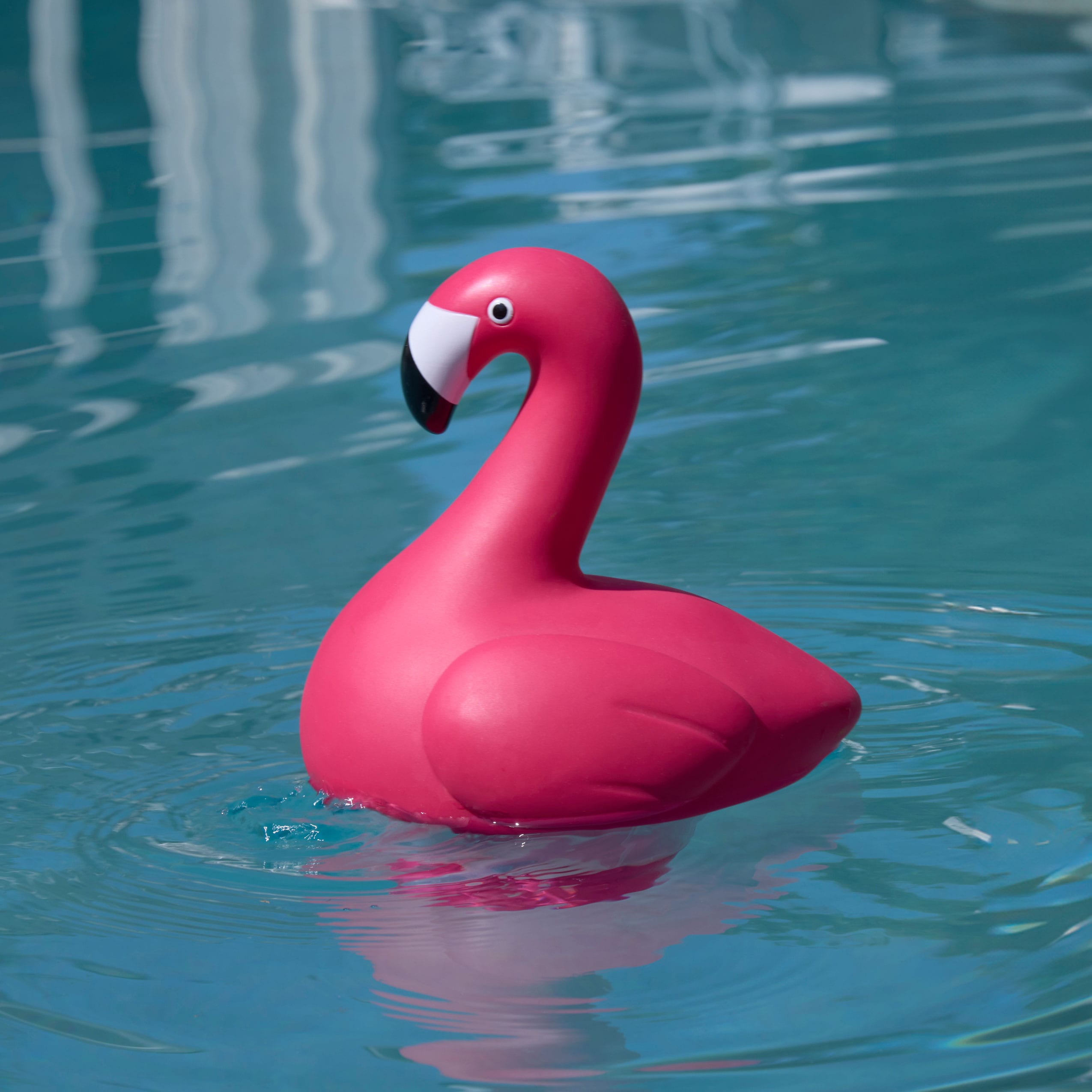 Floating Pool Chemical Dispenser