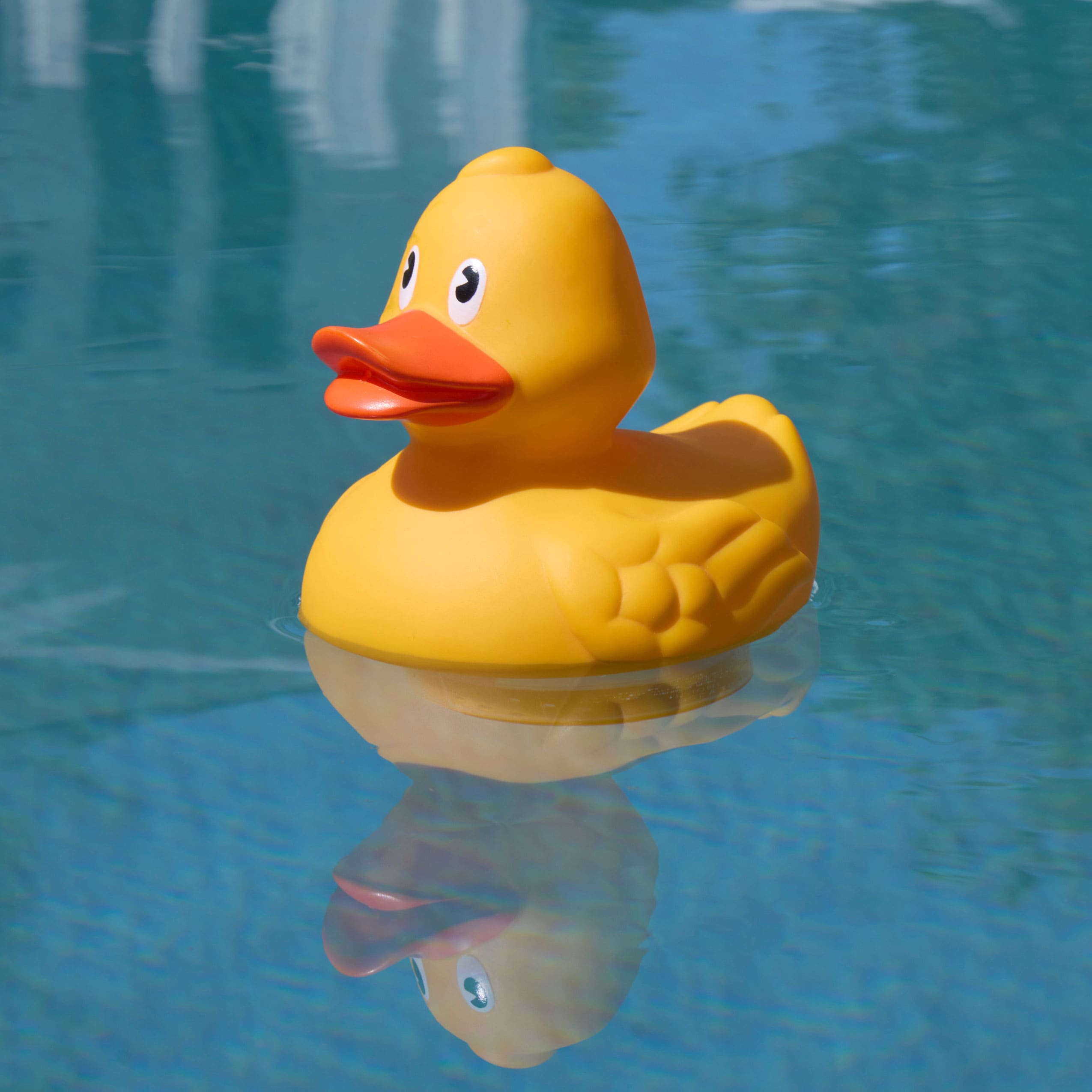 Floating Pool Chemical Dispenser
